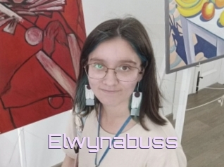 Elwynabuss