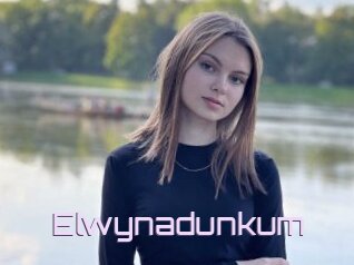 Elwynadunkum