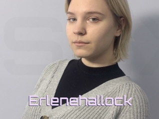 Erlenehallock