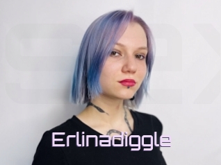 Erlinadiggle