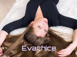 Evachice