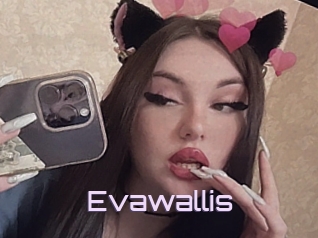 Evawallis