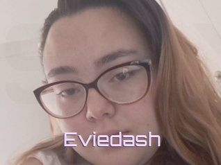 Eviedash