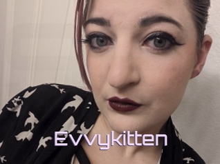 Evvykitten