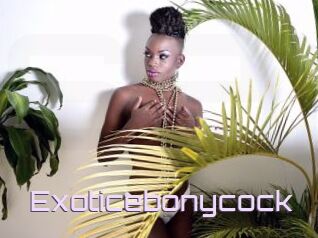 Exoticebonycock