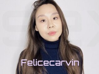 Felicecarvin