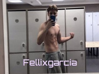 Fellixgarcia