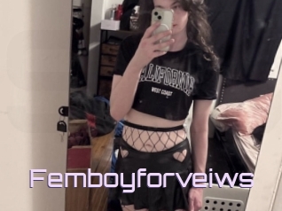 Femboyforveiws