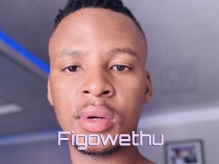 Figowethu