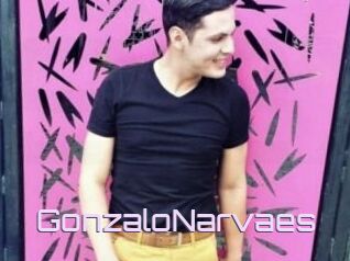 GonzaloNarvaes