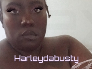 Harleydabusty