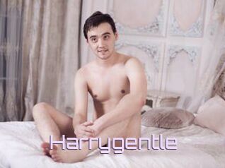 Harrygentle