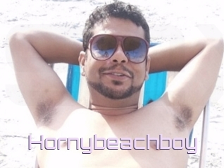 Hornybeachboy