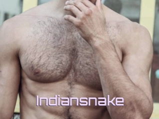 Indiansnake