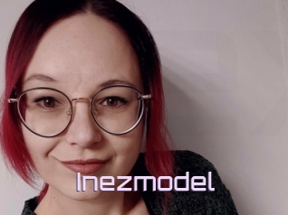 Inezmodel