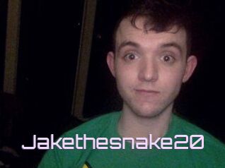 Jakethesnake20