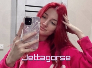 Jettagorse