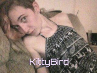 KittyBird