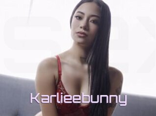 Karlieebunny