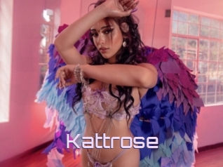 Kattrose