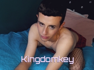 Kingdomkey