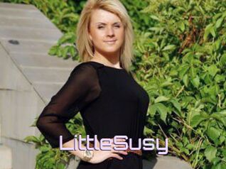 LittleSusy