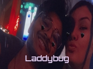 Laddybug