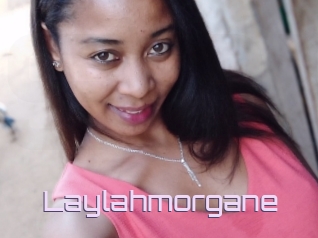 Laylahmorgane