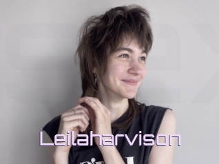 Leilaharvison