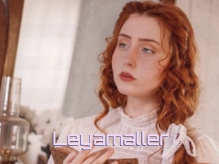 Leyamaller