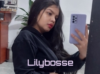 Lilybosse