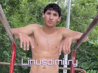 Linusdimitry