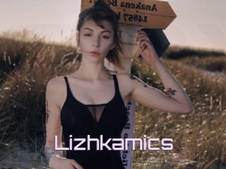 Lizhkamics