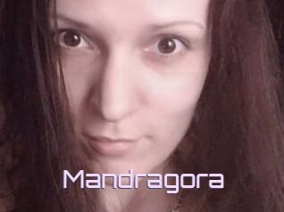 Mandragora