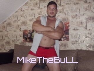 MikeTheBuLL