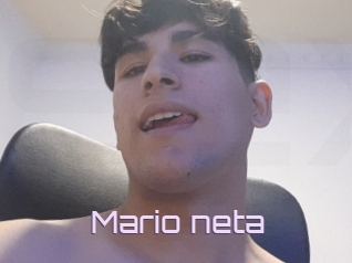 Mario_neta