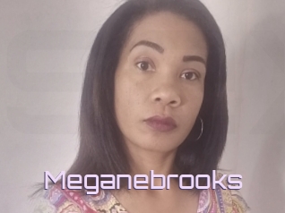 Meganebrooks