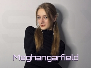 Meghangarfield