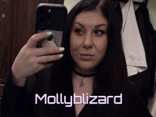 Mollyblizard