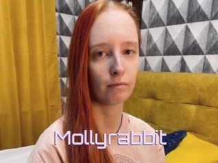 Mollyrabbit