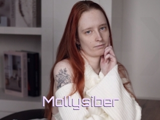 Mollysiber