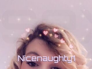 Nicenaughty1