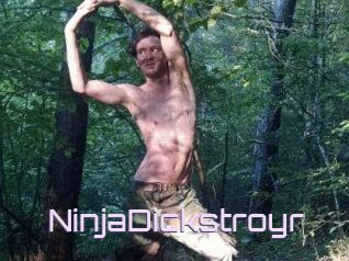 NinjaDickstroyr