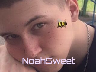 NoahSweet