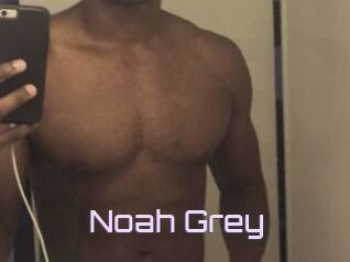 Noah_Grey