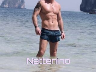 Nattenino