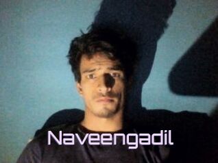 Naveengadil