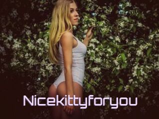 Nicekittyforyou