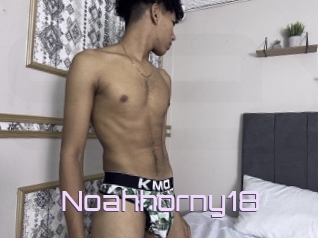 Noahhorny18