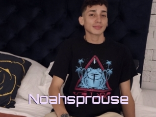 Noahsprouse